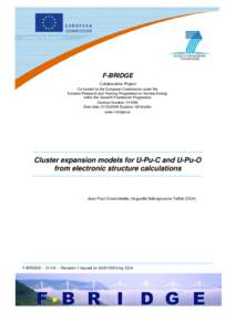 Microsoft Word - F-BRIDGE - D131 - revision 1 - Cluster Expansion Model for UPuC and UPuO - validated.doc
