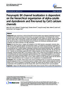 Presynaptic BK channel localization is dependent on the hierarchical organization of alpha-catulin and dystrobrevin and fine-tuned by CaV2 calcium channels