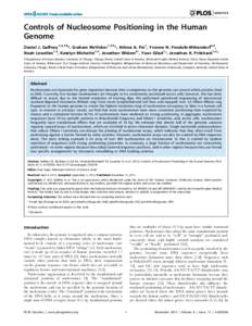 Controls of Nucleosome Positioning in the Human Genome Daniel J. Gaffney 1,2,3.*, Graham McVicker 1,2.*, Athma A. Pai1, Yvonne N. Fondufe-Mittendorf4,5, Noah Lewellen1,2, Katelyn Michelini1,2, Jonathan Widom4{, Yoav Gila