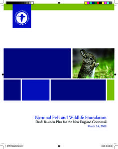 National Fish and Wildlife Foundation  Draft Business Plan for the New England Cottontail March 24, 2009  NFWF NE Cotton Biz Plan.indd 1