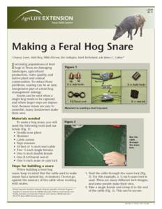 LMaking a Feral Hog Snare Chancey Lewis, Matt Berg, Nikki Dictson, Jim Gallagher, Mark McFarland, and James C. Cathey*