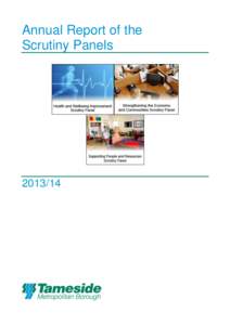 Annual Report of the Scrutiny Panels