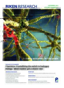 RIKEN RESEARCH  DECEMBER 2011 VOLUME 6 NUMBER 12  Probing enzymes in the brain