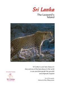 Sri Lanka The Leopard’s Island