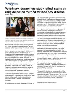 Veterinary researchers study retinal scans as early detection method for mad cow disease