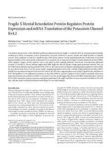 The Journal of Neuroscience, April 13, 2011 • 31(15):5693–5698 • 5693  Brief Communications Fragile X Mental Retardation Protein Regulates Protein Expression and mRNA Translation of the Potassium Channel