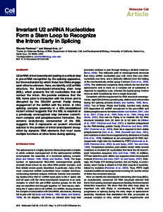 RNA splicing / Spliceosome / U6 spliceosomal RNA / U4 spliceosomal RNA / U2 spliceosomal RNA / Group II intron / Minor spliceosome / SnRNP / U1 spliceosomal RNA / RNA / Genetics / Biology