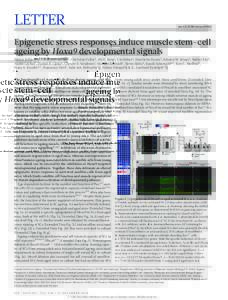 Letter  doi:nature20603 Epigenetic stress responses induce muscle stem-cell ageing by Hoxa9 developmental signals