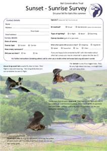 Bat Conservation Trust  Sunset - Sunrise Survey Do your bit for bats this summer Species? (simply write “bat” if you’re not sure)