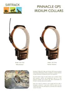 Horse tack / Antenna / Global Positioning System / Technology / Animal identification / Collar