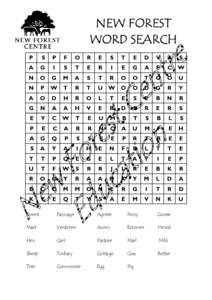 NEW FOREST WORD SEARCH P S