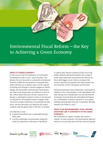 Environmental Fiscal Reform­—the Key to Achieving a Green Economy what is a green economy? In the run-up to the UN Conference on Sustainable Development in Rio in 2012, ”Green Economy“ has