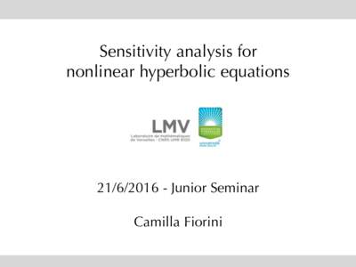 Sensitivity analysis for nonlinear hyperbolic equationsJunior Seminar Camilla Fiorini