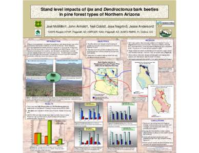 Stand level impacts of Ips and Dendroctonus bark beetles  in pine forest types of Northern Arizona