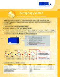 Autophagy  International Corporation Autophagy Watch for Autophagy Flux Assay and LC3 immunostaining