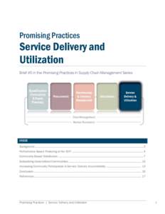 Promising Practices  Service Delivery and Utilization Brief #5 in the Promising Practices in Supply Chain Management Series