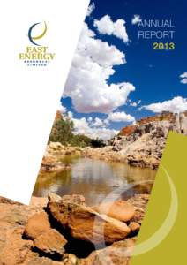 ANNUAL REPORT 2013 ABN[removed]