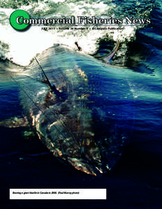 COMMERCIAL FISHERIES NEWS • JULY[removed]Commercial Fisheries News JULY 2011 • Volume 38 Number 9 • A Compass Publication  Boating a giant bluefin in Canada in[removed]Paul Murray photo)