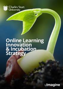 Online Learning Innovation & Incubation Strategy  Authored by Tim Klapdor, Peter Adams, Barney Dalgarno & Lindy Croft-Piggin