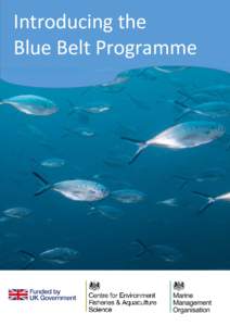 Introducing the Blue Belt Programme –– Printed and published on recycled paper