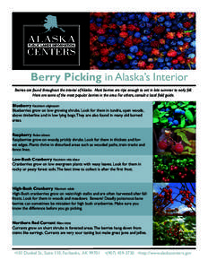 Berry Picking in Alaska’s Interior Berries are found throughout the interior of Alaska. Most berries are ripe enough to eat in late summer to early fall. Here are some of the most popular berries in the area. For other