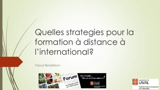 Quelles strategies pour la formation à distance à l’international? Faouzi Benjelloun  Définition