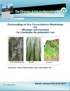 Proceeding of Consultative Workshop on Moringa stenopetala to Maximize Its Potential Uses  Prepared by: Ashenif Tadele (B Pharm, MSc), AsfawDebella, PhD Bishoftu, Ethiopia; May 22-23, 2014 1