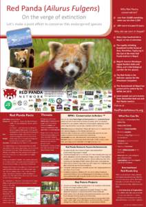 Red Panda (Ailurus Fulgens)  Why Red Panda conservation?  On the verge of extinction