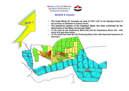 Ministry of Oil and Minerals Petroleum Exploration & Production Authority BLOCK 6 (Iryam) 