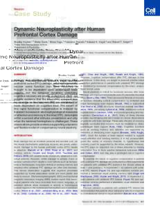 Dynamic Neuroplasticity after Human Prefrontal Cortex Damage