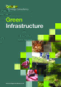 Green Infrastructure www.ecologyconsultancy.co.uk  Putting nature back into development