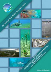 Megafauna / Seagrass / Coral reef / Andaman Sea / Dugong / Marine biology / Marine ecosystem / Mawlamyine / Wooramel Seagrass Bank / Fisheries / Biology / Zoology