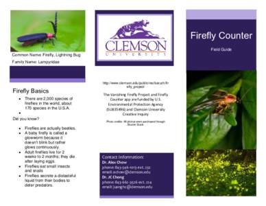 Firefly Counter Field Guide Common Name: Firefly, Lightning Bug Family Name: Lampyridae  Firefly Basics