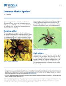SP118  Common Florida Spiders1 J.L. Castner2  Spiders belong to the class Arachnida, which contains
