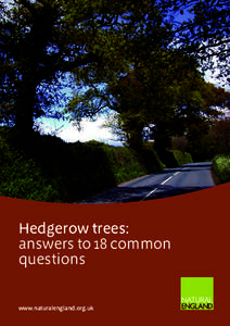Hedgerow trees: answers to 18 common questions www.naturalengland.org.uk  A mixed age Hertfordshire hedge with many ages of hedgerow tree. © Tree Council Image Bank