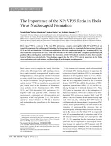 SUPPLEMENT ARTICLE  The Importance of the NP: VP35 Ratio in Ebola Virus Nucleocapsid Formation Takeshi Noda,1 Larissa Kolesnikova,2 Stephan Becker,2 and Yoshihiro Kawaoka1,2,3,4,5 1Department