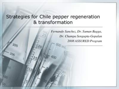 Strategies for Chile pepper regeneration & transformation Fernando Sanchez, Dr. Suman Bagga, Dr. Champa Sengupta-Gopalan 2008 ASSURED Program