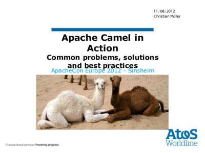 [removed]Christian Müller Apache Camel in Action