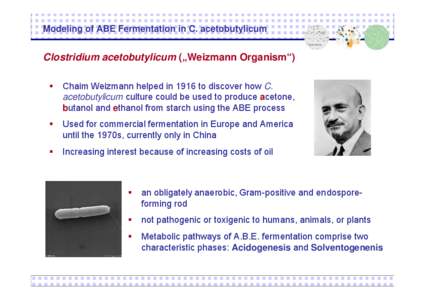 Modeling of ABE Fermentation in C. acetobutylicum  Clostridium acetobutylicum („Weizmann Organism“)   Chaim Weizmann helped in 1916 to discover how C.