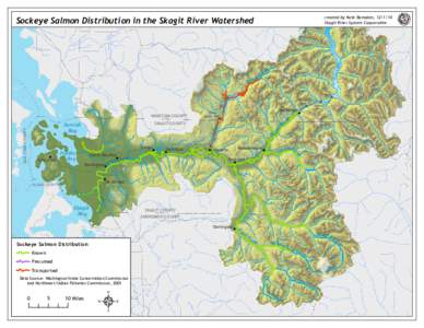 Sockeye Salmon Distribution in the Skagit River Watershed  L ak e  created by Kate Ramsden, 