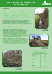 How to Manage your Hedge Ditches for Invertebrates Introduction Hedges are more than just lines of shrubs. They usually have some sort of herbaceous growth at or near the base and many contain emergent trees. They may be