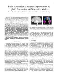 1  Brain Anatomical Structure Segmentation by Hybrid Discriminative/Generative Models Zhuowen Tu, Katherine L. Narr, Piotr Doll´ar, Ivo Dinov, Paul M. Thompson, and Arthur W. Toga