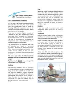 Icing  Tuna Catch Handling Guidelines As Tuna tend to be warmer in temperature than the water they came from, they require special care and consideration when it comes to