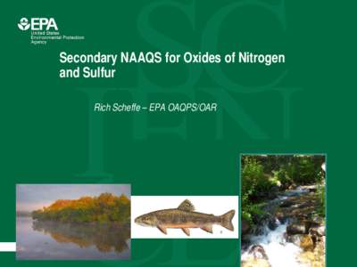 Secondary NAAQS for Oxides of Nitrogen and Sulfur Rich Scheffe – EPA OAQPS/OAR Office of Research and Development National Center for Environmental Assessment