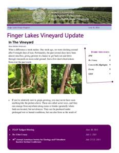 Finger Lakes Grape Program  June 24, 2015 In The Vineyard Hans Walter-Peterson
