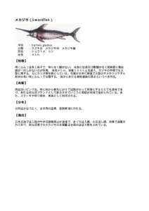 メカジキ（Swordfish）  学名  ：Xiphias gladius 分類  ：スズキ目 メカジキ科 メカジキ属 別名  ：シュウトメ、ツン 全長  ：４.5ｍ