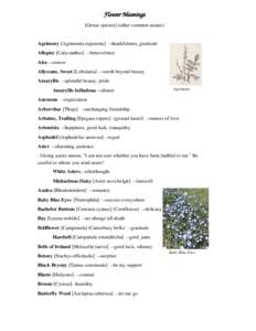 Flower Meanings [Genus species] (other common names) Agrimony [Agrimonia eupatoria] --thankfulness, gratitude Allspice [Calycanthus] --benevolence Aloe --sorrow Allyssum, Sweet [Lobularia] --worth beyond beauty