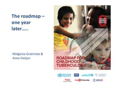 The roadmap – one year later….. Malgosia Grzemska & Anne Detjen