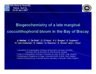Biogeochemistry of a late marginal coccolithophorid bloom in the Bay of Biscay