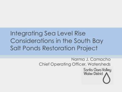 Integrating Sea Level Rise Considerations in the South Bay Salt Ponds Restoration Project Norma J. Camacho Chief Operating Officer, Watersheds